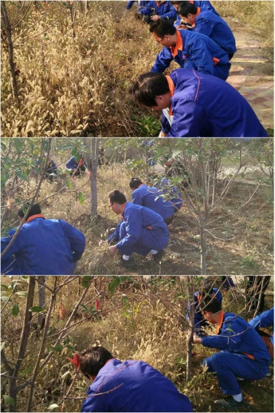 拔草行動